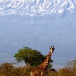Tanzania