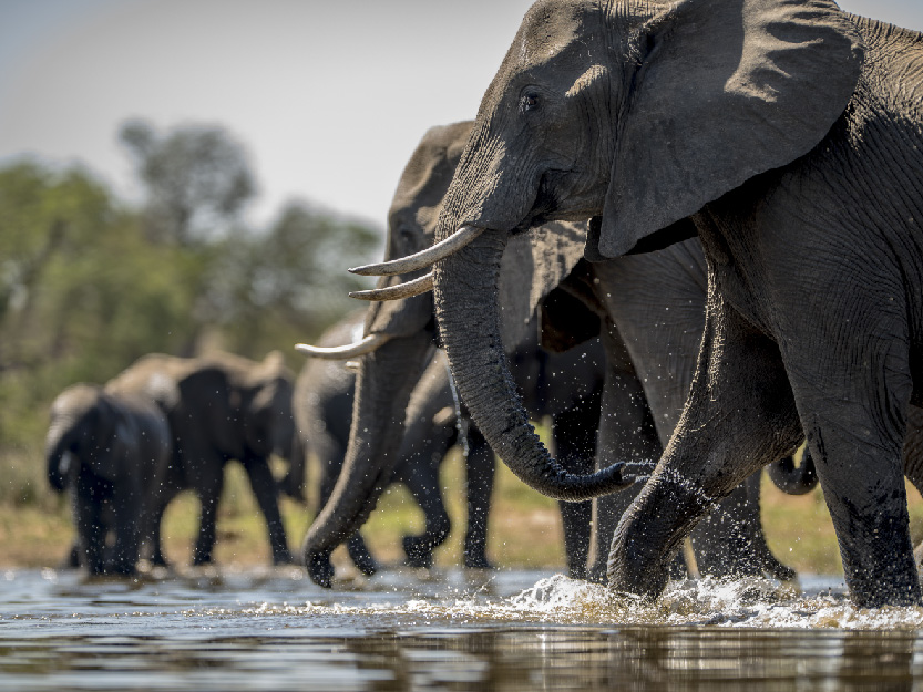 Zimbabwe Landscape